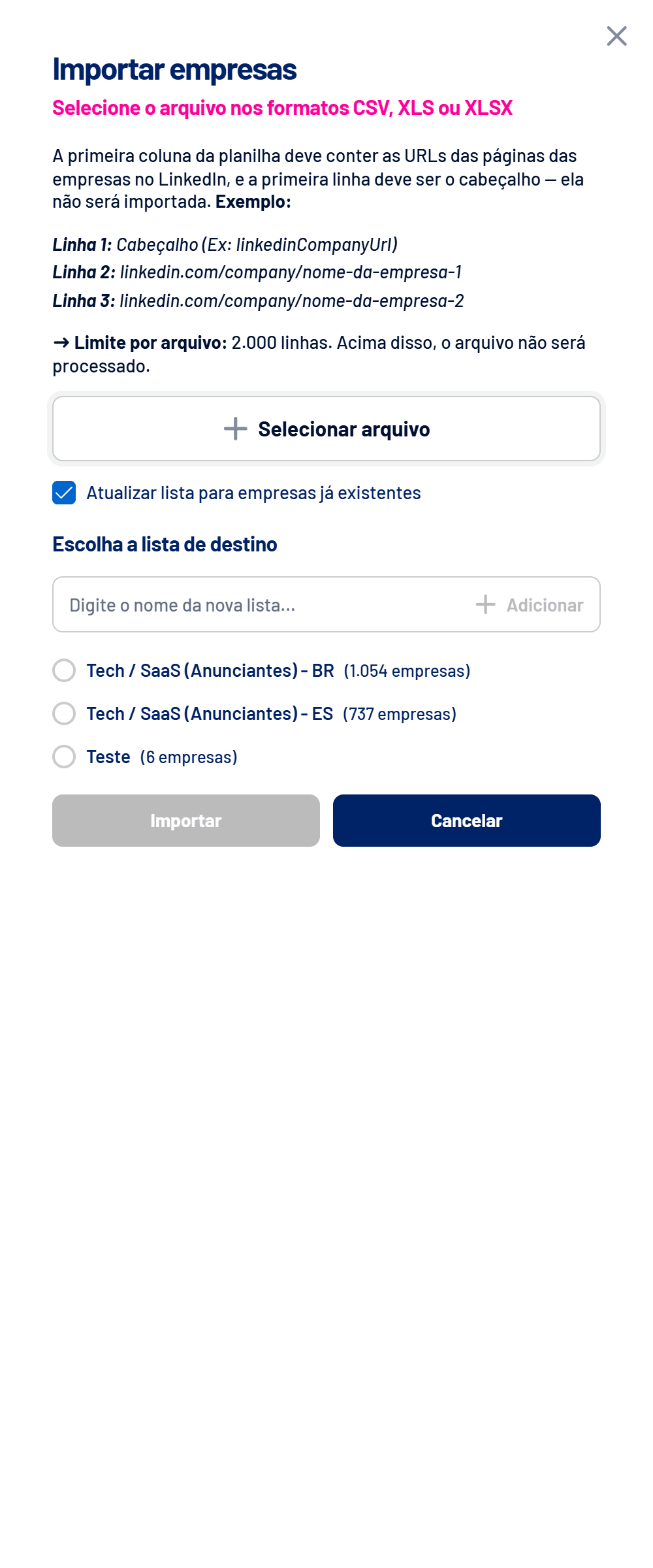 Janela Importar empresas com o formato da planilha